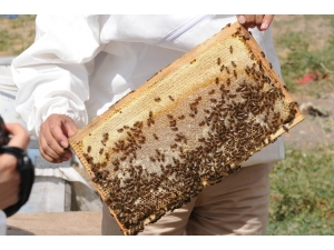 Küresel Isınma Vanlı Balcıları Teğet Geçti