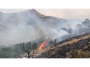 Bayburt’ta Orman Yangını