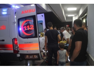 Tünceli’de Dayı Cinneti: 3 Ölü, 1 Yaralı