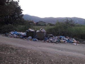 Erdek’ten Pis Kokular Geliyor