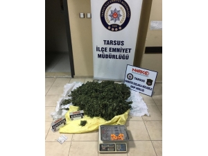 Tarsus’ta Uyuşturucu Operasyonu