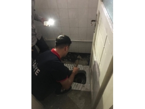 Tuvalet Giderine Sıkışan Kediyi İtfaiye Kurtardı