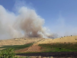 Diyarbakır’da Ağaçlık Alanda Yangın