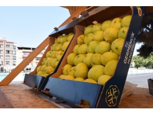 Germencik Tanıtılacak, Çiftçi Kazanacak