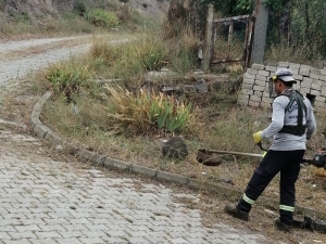 Körfez’de Ot Biçme Çalışmaları Sürüyor