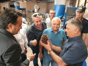 "Zeytin Şehri" Fıstıkçılıkta Da İddialı