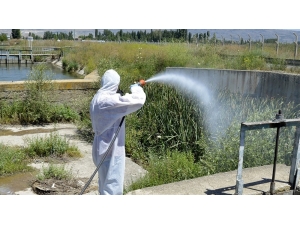 Tepebaşı’nda Haşere İle Mücadele Aralıksız Devam Ediyor