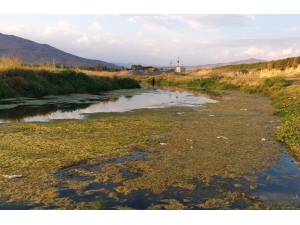 Van Gölü Havzası’ndaki Akarsular Tehlike Altında