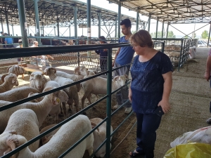 Eskişehir’de Kurban Bereketi Yaşandı