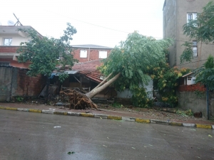 Kocaeli’de Yoğun Yağmur Ve Dolu Yağışı Hayatını Olumsuz Etkiledi