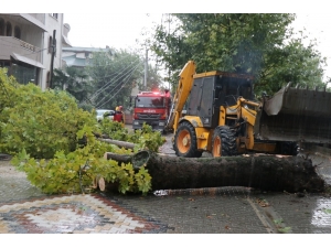 Sakarya’yı Etkisi Altına Alan Yağmur Hayatı Olumsuz Etkiledi