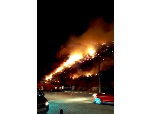 Xanthos Antik Kenti Tehdit Eden Yangın