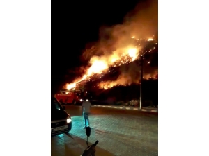 Xanthos Antik Kentini Tehdit Eden Yangın Söndürüldü