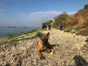 Beylikdüzü Kavaklı Sahili’nde Poşet İçerisinde Yeni Doğmuş Bir Bebek Cesedi Kıyıya Vurdu. Çevredekilerin İhbarı Üzerine Olay Yerine Polis Ekipleri Sevk Edildi.