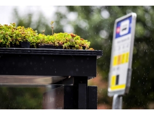 Utrecht, Otobüs Duraklarının Üzerini Yeşillendirdi