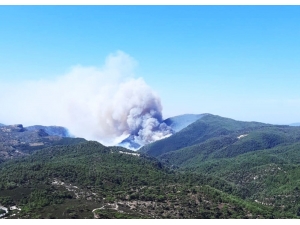 Milas’ta Orman Yangını