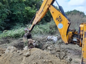 Yol Kenarına Atılan Ölü Hindiler, Ekipleri Harekete Geçirdi
