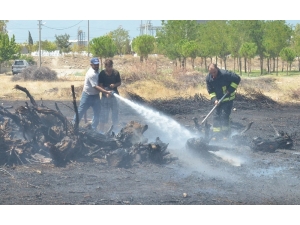 Hayvan Damlarında Yangın Çıktı, Hayvanlar Telef Olmaktan Kurtarıldı