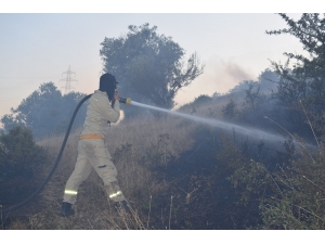 Aliağa’da Çıkan Yangın Korkuttu
