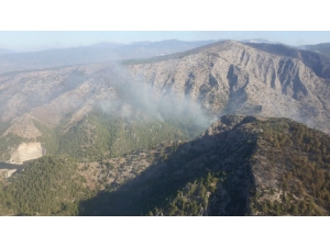 Bodrum’da Yangın Kontrol Altında, Milas’ta Çalışmalar Devam Ediyor