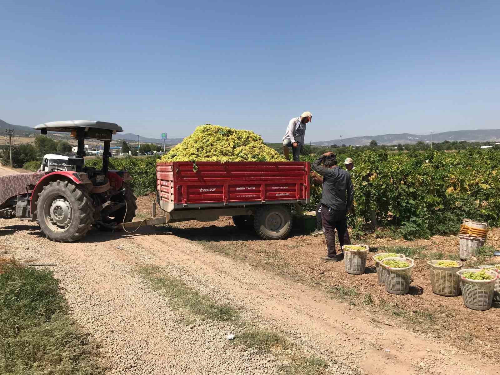 guneyli-uzum-ureticilerinden-alicilara-fiyat-tepkisi