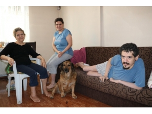 31 Yaşındaki Onur, Kök Hücre Nakliyle Yeniden Koşmak İstiyor