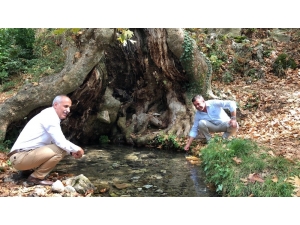 Doğal Alanlar Halkın Hizmetine Sunulacak