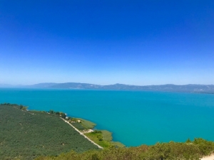 Göl Raporu Açıklandı, Turkuaz Renk Normal