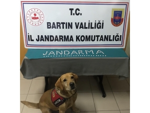 Jandarmadan Uyuşturucu Operasyonu