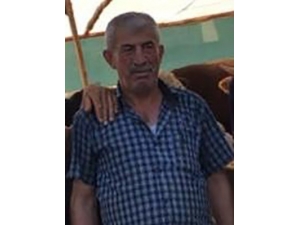 Merdivenlerden Düşen Şahıs Hayatını Kaybetti