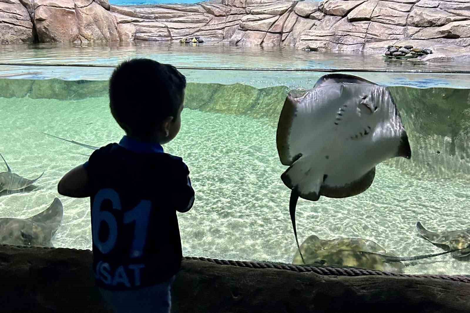 tunel-akvaryum-turistlerin-gozdesi-oldu