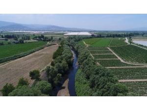 Gediz’i Kirleten İki İşletmeye 238 Bin Tl’lik Ceza