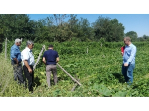 Pazaryeri’ndeki Tarım Arazilerinde Hasar Tespit Çalışmaları Başladı