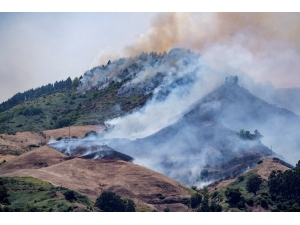 Kanarya Adaları Yangınında 9 Bin Kişi Tahliye Edildi