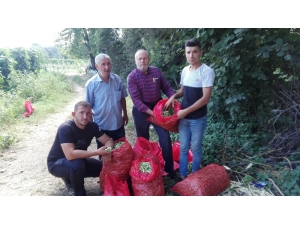 Boncuk Fasulye Üreticisi Şaşkın