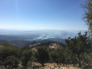 İzmir’in Ciğerleri Yanmaya Devam Ediyor