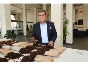 Çekirdeksiz Kuru Üzüm İhracatı 500 Milyon Doları Aştı