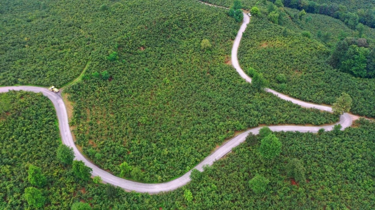 ulubey-de-3-mahalleye-hizmet-veren-7-kilometrelik-grup-yolu-asfaltlandi