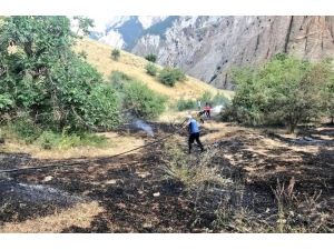 Hakkari’de Anız Yangını