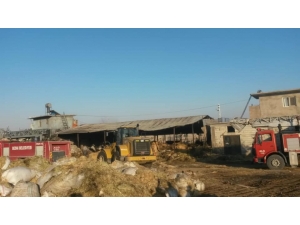 Samanlıkta Çıkan Yangın Korkuttu