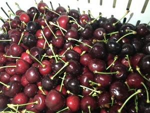 Taze Kiraz, Üzüm Ve Nar İhracatçıları Yeni İhracat Rekorları İçin Kümeleniyor