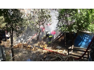 Vatandaşların Çabası Hayvanların Telef Olmasını Önledi