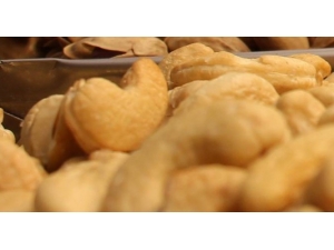 Türk Firmalarına Kaju Tuzağı