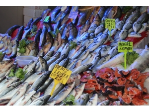 Balıkçılar Yeni Sezondan Umutlu