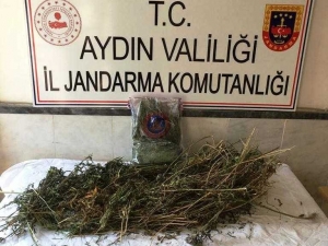 Kuyucak Ve Karacasu’da Uyuşturucu Operasyonları: 3 Tutuklama