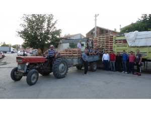 Isparta’dan Dünyaya Domates İhraç Eden Köy, Göç Vermek Yerine Göç Alıyor