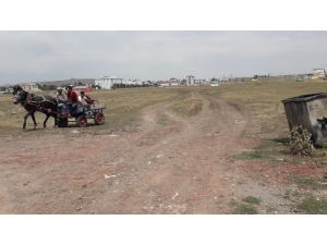 Kars’ta 1,5 Milyon Tl’ye Mal Olan Olimpik Havuz Belediyeden Yol Bekliyor