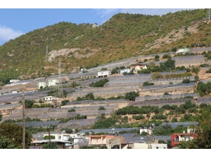 Türkiye Seracılıkta Dünya İle Yarışıyor