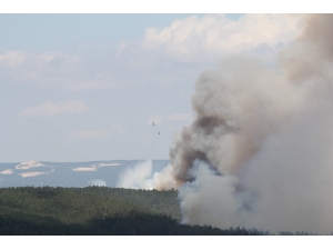 145 Hektar Orman Kasıtlı Yakılmış