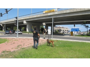 Takma Dişleri, Kayıp Adam İçin Umut Oldu